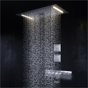 Shower set